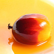 LMG Palm Oil